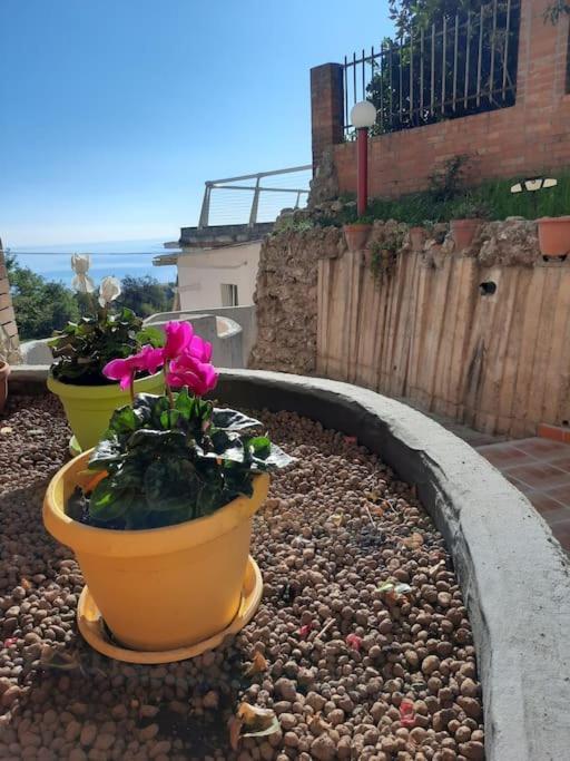 Apartament Torre Del Meridiano Casa Vacanze Centrale Termoli Zewnętrze zdjęcie